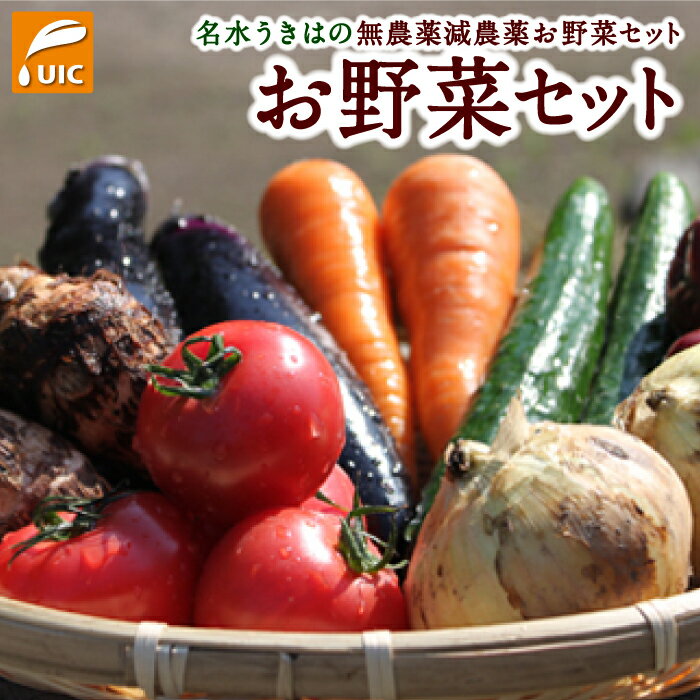 [選べる種類]UIC 名水うきはの無農薬減農薬お野菜セット 野菜 定期便 詰め合わせ 野菜詰め合わせ 冷蔵 送料無料 福岡県 うきは市