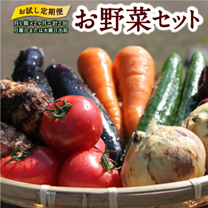 【ふるさと納税】 【お試し定期便】UIC 名水うきはの無農薬減農薬お野菜セット (ひと月1箱×2か月=計2回)