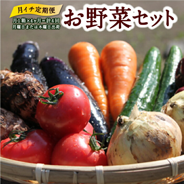  UIC 名水うきはの無農薬減農薬お野菜セット (ひと月1箱×4か月=計4回)