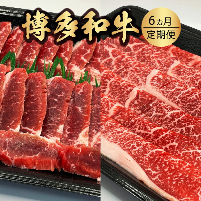 【ふるさと納税】 【6ヵ月定期便】博多和牛 うす切り肉と焼き肉用厚切りの毎月交互の6回お届け