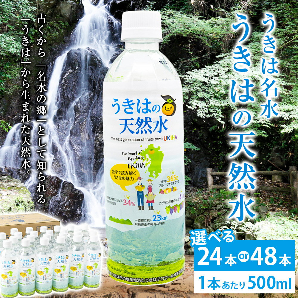 【ふるさと納税】【選べる容量】うきは名水 うきはの天然水 (500ml×24本入り) ナチュラルミネラルウォーター お水 水 天然水 ミネラル ウォーター ペットボトル 送料無料 福岡県 うきは市