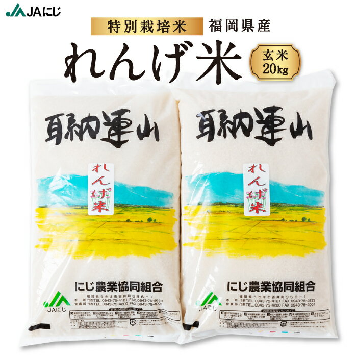 【ふるさと納税】JAにじ 特別栽培米「れんげ米」 玄米20kg