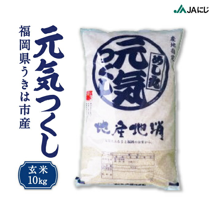 【ふるさと納税】JAにじ 元気つくし 玄米10kg