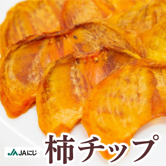 【ふるさと納税】 JAにじ 柿チップ100g×5袋・1kg 2024年11月中旬から順次発送 ドライフルーツのサムネイル