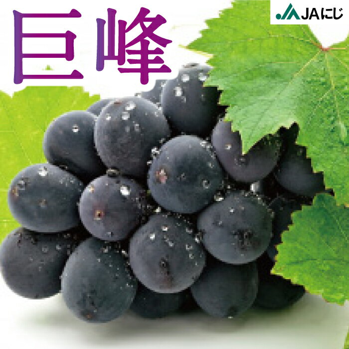 【ふるさと納税】【先行予約】JAにじ 巨峰 5房から7房 (約2kg)・巨峰7房から10房 (約3kg) 2025年8月下旬から9月中旬 出荷予定 葡萄 ぶどう ブドウ フルーツ 果実 果物 グレープ 冷蔵 送料無料 福岡県 うきは市