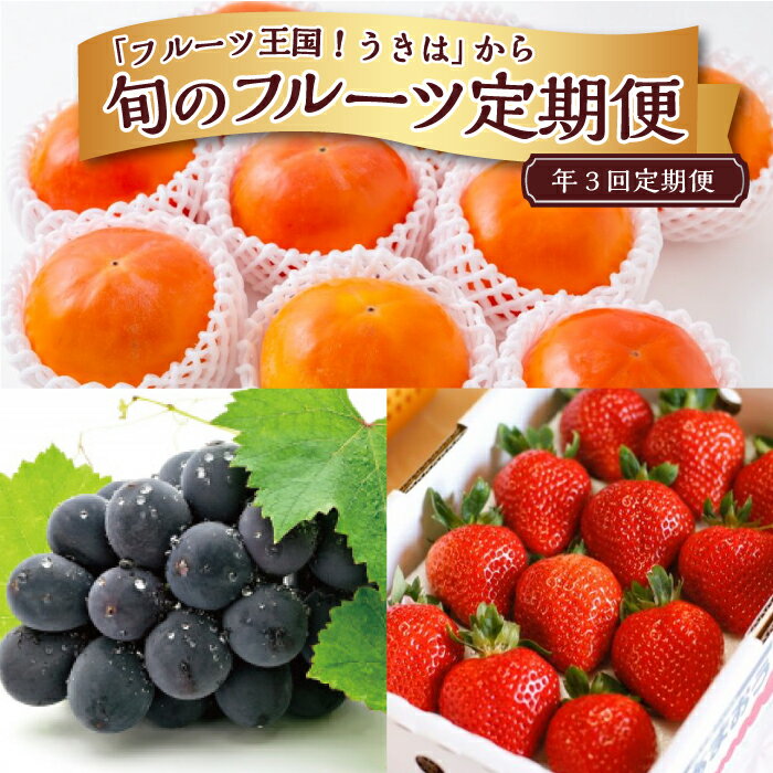 【ふるさと納税】 【年3回定期便】「フルーツ王国！うきは」から 旬のフルーツ定期便のサムネイル