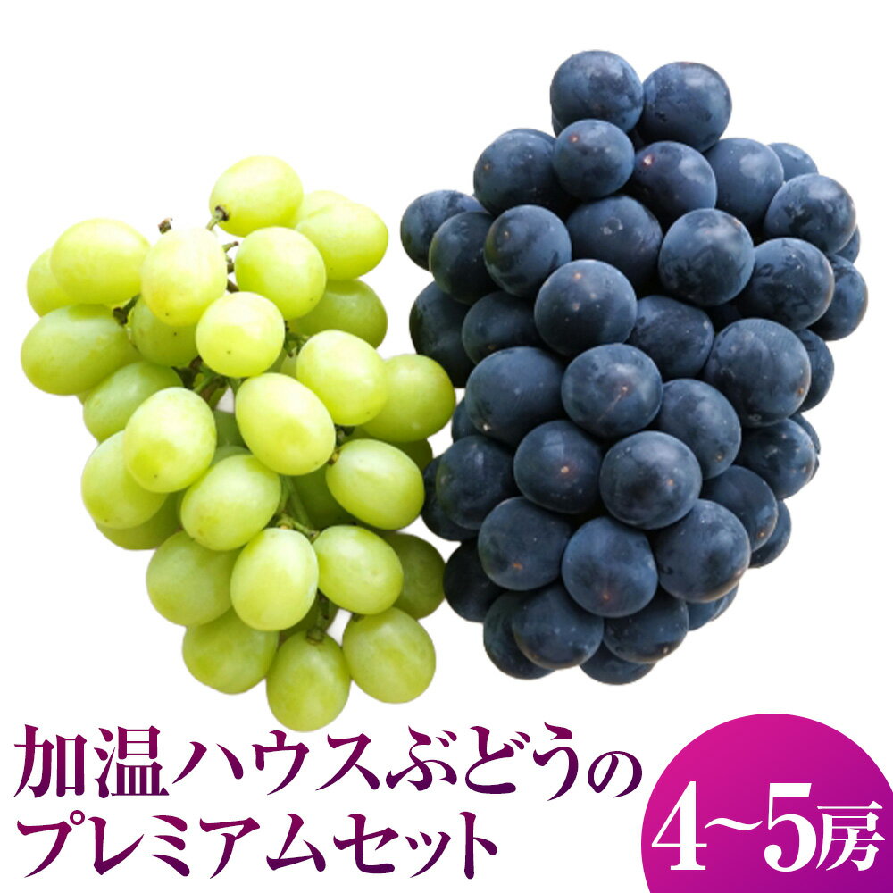 [先行予約]有機配合肥料使用 種なし 加温ハウスぶどう 4〜5房 プレミアムセット [2026年7月下旬より順次発送予定][春光園] ぶどう ブドウ 葡萄 果物 フルーツ 詰め合わせ 冷蔵 送料無料 福岡県 うきは市