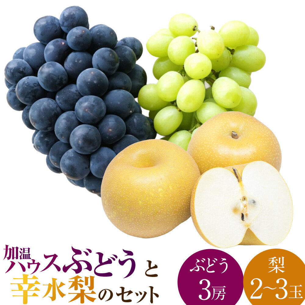 [先行予約]種なし 加温ハウスぶどう (3房) 幸水梨 (2〜3玉) セット [2026年7月下旬〜8月上旬より順次発送予定] [春光園] 有機配合肥料使用 種なし ぶどう ブドウ 葡萄 梨 なし 果物 フルーツ 詰め合わせ 冷蔵 送料無料 福岡県 うきは市