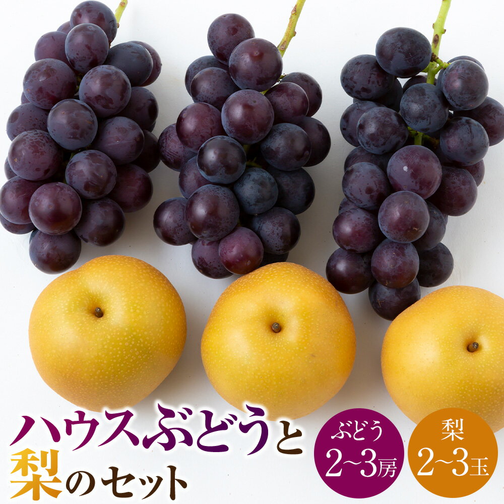 [先行予約]種あり ハウスぶどう (2〜3房) 梨 (2〜3玉) セット [2026年8月下旬より順次発送予定][春光園] 有機配合肥料使用 ぶどう ブドウ 葡萄 巨峰 梨 なし 果物 フルーツ 詰め合わせ 冷蔵 送料無料 福岡県 うきは市