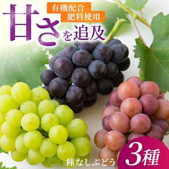 ڤդ뤵Ǽǡۡͽͭ۹ ʤ ϥ֤ɤ 3糧å 2025ǯ7ܤ8 вͽڽո ֤ɤ ...