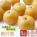 【ふるさと納税】【先行予約】<選べる個数> 有機配合肥料使用 秋月梨 2025年8月下旬から9月上旬 出荷予定【春光園】 梨 なし 果物 フルーツ 常温 送料無料 福岡県 うきは市