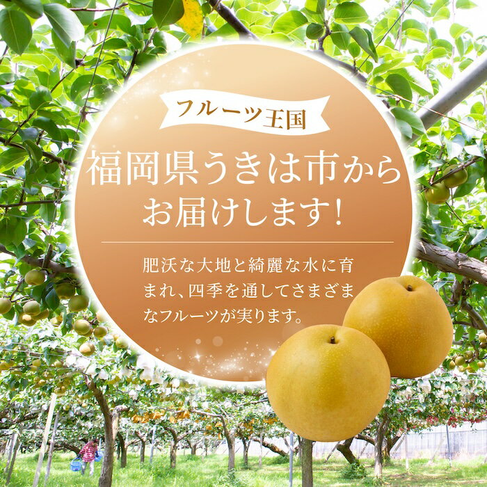 【ふるさと納税】【先行予約】＜選べる個数＞ 有機配合肥料使用 豊水梨 2025年8月中旬から8月下旬 出荷予定【春光園】 梨 なし 果物 フルーツ 常温 送料無料 福岡県 うきは市