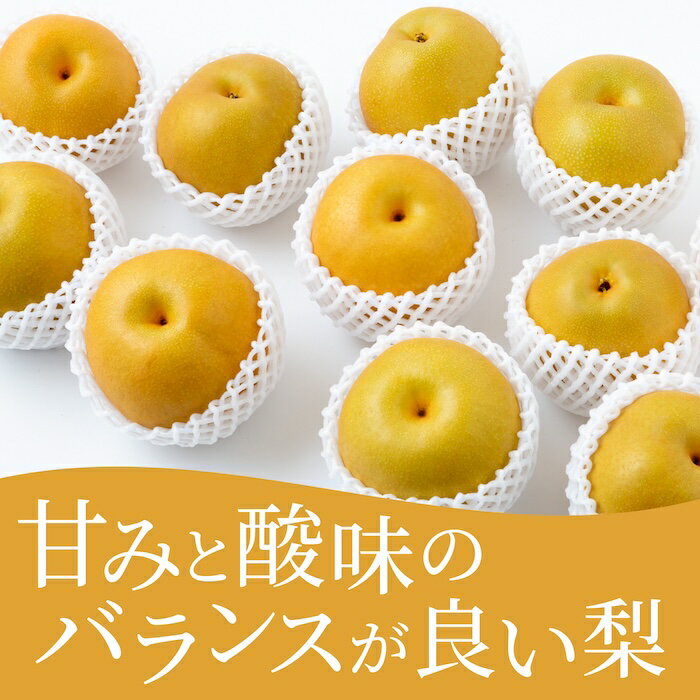 【ふるさと納税】【先行予約】＜選べる個数＞ 有機配合肥料使用 豊水梨 2025年8月中旬から8月下旬 出荷予定【春光園】 梨 なし 果物 フルーツ 常温 送料無料 福岡県 うきは市