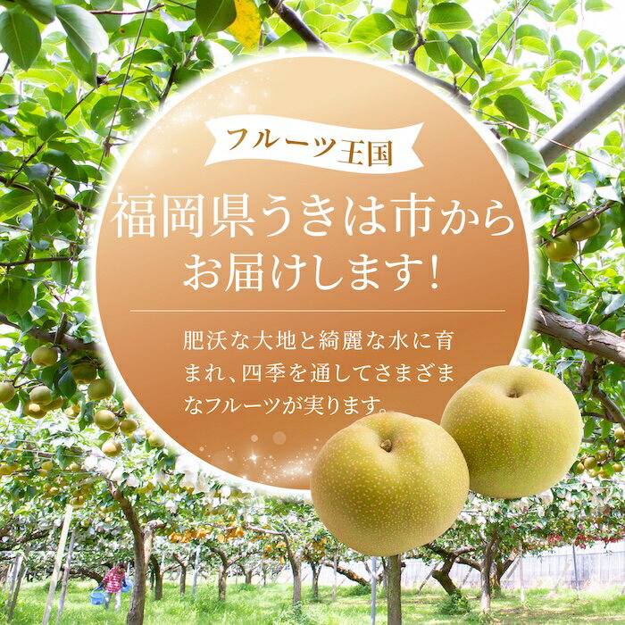 【ふるさと納税】【先行予約】＜選べる個数＞ 有機配合肥料使用 幸水梨 （6～10玉 （約3kg） ／ 10～16玉 （約5kg） ） 【2026年7月下旬～8月上旬より順次発送予定】【春光園】 梨 なし 幸水 こうすい 果物 フルーツ 常温 送料無料 福岡県 うきは市