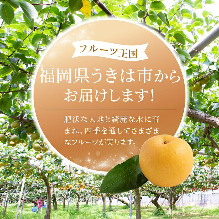 【ふるさと納税】【先行予約】＜選べる個数＞ 有機配合肥料使用 新興梨 （6～10玉 （約3kg） ／ 10～16玉 （約5kg） ） 【2026年9月下旬～10月上旬より順次発送予定】【春光園】 梨 なし 果物 フルーツ 常温 送料無料 福岡県 うきは市