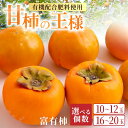 【ふるさと納税】【先行予約】<選べる個数> 有機配合肥料使用 富有柿 富有柿 10~20玉 2025年11月上旬から11月下旬 出荷予定【春光園】 柿 かき 甘柿 甘い 果物 フルーツ 常温 送料無料 福岡県 うきは市