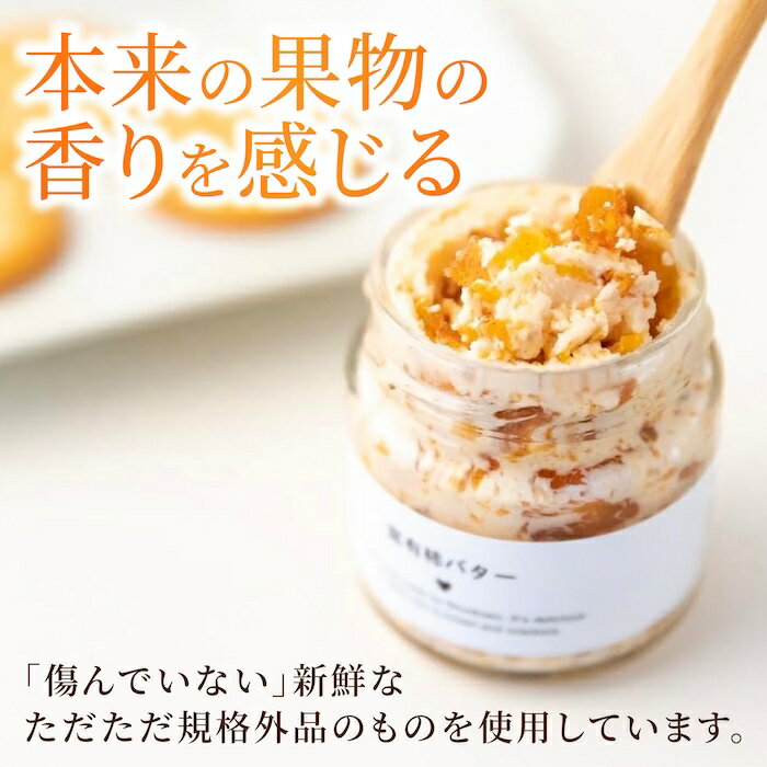 【ふるさと納税】【新鮮な果物使用】 香り広がる フルーツバター 3種 セット （あまおう ／ 富有柿 ／ ブルーベリー） （100ml × 3瓶） 【2025年11月上旬～2026年4月下旬より順次発送予定】【春光園】 バター ジャム 果物 くだもの 加工品 送料無料 福岡県 うきは市 冷蔵