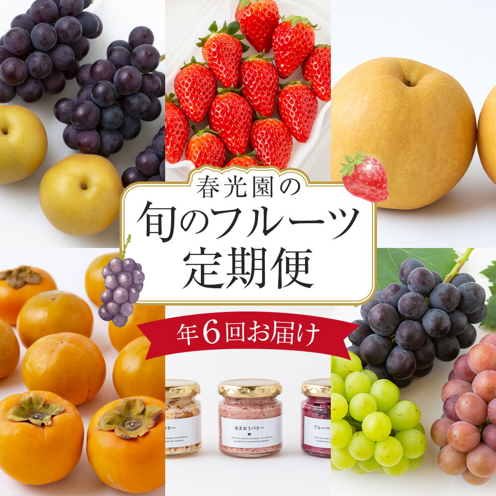 [年6回定期便]春光園のくだもの畑からの贈り物 (いちご / ぶどう / 梨 / 柿 / フルーツバター) [2026年1月上旬〜11月下旬より順次発送予定] 苺 イチゴ ブドウ 葡萄 なし ナシ かき カキ 季節のフルーツ 旬 送料無料 福岡県 うきは市 常温 冷蔵