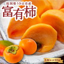 【ふるさと納税】【先行予約】竹の葉月柿農園 富有柿 LMサイズ 33玉 2025年11月上旬から11月下旬 出荷予定 柿 かき カキ フルーツ 果実 果物 常温 送料無料 福岡県 うきは市
