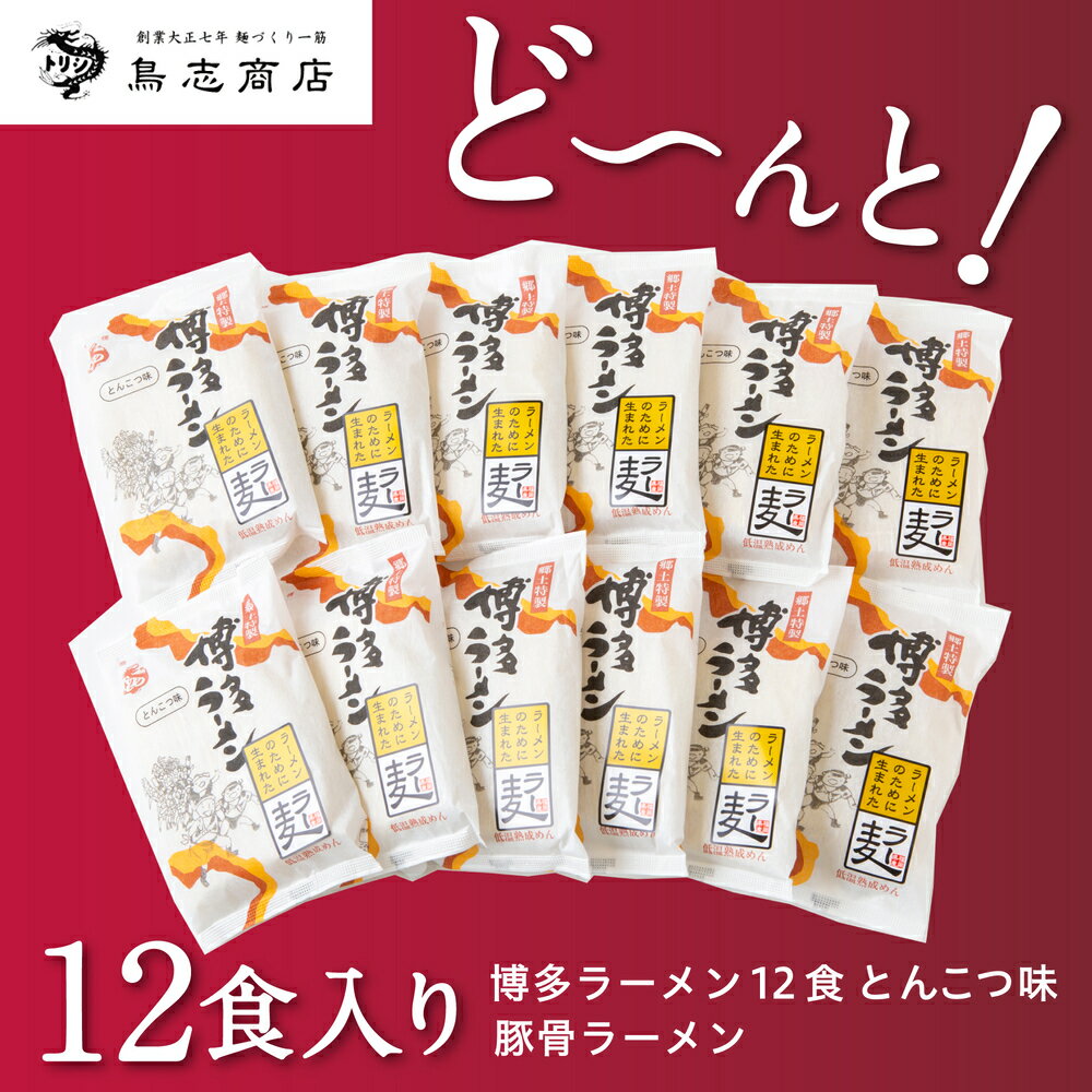 【ふるさと納税】 鳥志商店 博多ラーメン 12食　とんこつ味 豚骨ラーメン ラーメン らー麺 麺 乾麺 中華 おかず 常温 送料無料 福岡県 うきは市