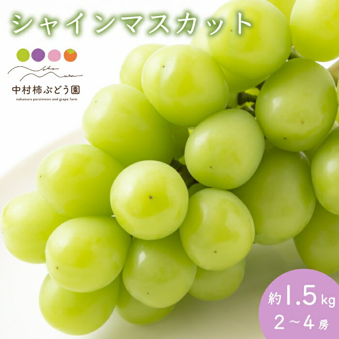 [先行予約]中村柿ぶどう園 シャインマスカット 2〜4房 (約1.5kg) 8月中旬〜9月中旬お届け