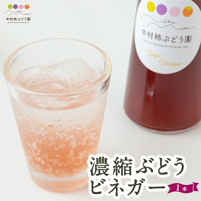 9位! 口コミ数「0件」評価「0」中村柿ぶどう園 濃縮ぶどうビネガー 1本