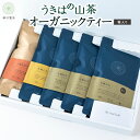 【ふるさと納税】新川製茶 うきはの山茶 オーガニックティー (箱入り)