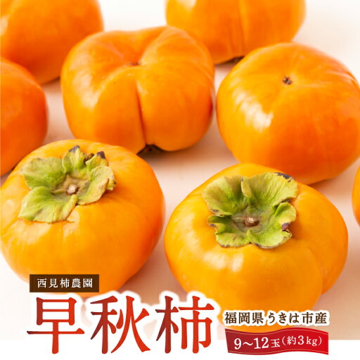 【ふるさと納税】【先行予約】西見柿農園 早秋柿 9玉から12玉 (約3kg) 2025年10月上旬から10月中旬 出荷予定 柿 カキ 旬 フルーツ 果物 果実 常温 送料無料 福岡県 うきは市 【ふるさと納税】【先行予約】西見柿農園 早秋柿 9玉から12玉 (約3kg) 2025年10月上旬から10月中旬 出荷予定 柿 カキ 旬 フルーツ 果物 果実 常温 送料無料 福岡県 うきは市