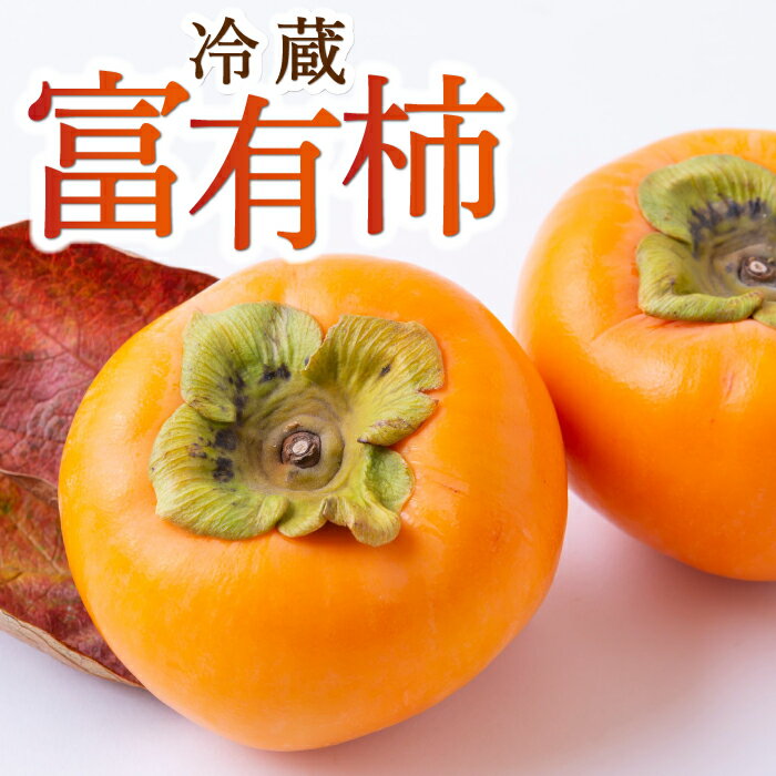 【ふるさと納税】西見柿農園 冷蔵富有柿 9玉から11玉・12玉から15玉 2024年12月中旬から2025年1月中旬 出荷予定のサムネイル