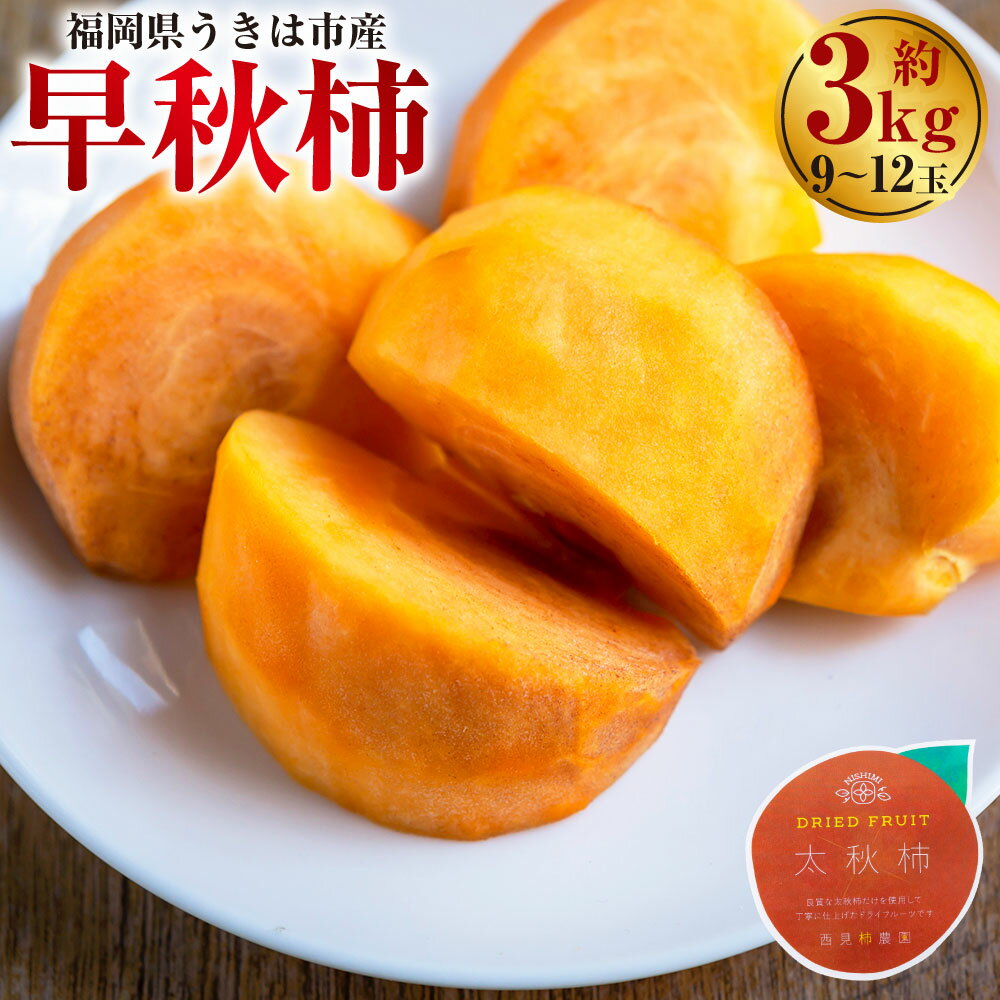 [先行予約]西見柿農園 早秋柿 9玉から12玉 (約3kg) 2025年10月上旬から10月中旬 出荷予定 柿 カキ 旬 フルーツ 果物 果実 常温 送料無料 福岡県 うきは市