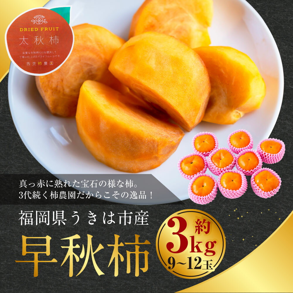 【ふるさと納税】【先行予約】西見柿農園 早秋柿 9玉から12玉 （約3kg） 【2026年10月上旬～10月中旬より順次発送予定】 柿 かき カキ 早秋 そうしゅう 大玉 果物 くだもの フルーツ 果実 ジューシー 高糖度品種 お取り寄せ 常温 送料無料 福岡県 うきは市