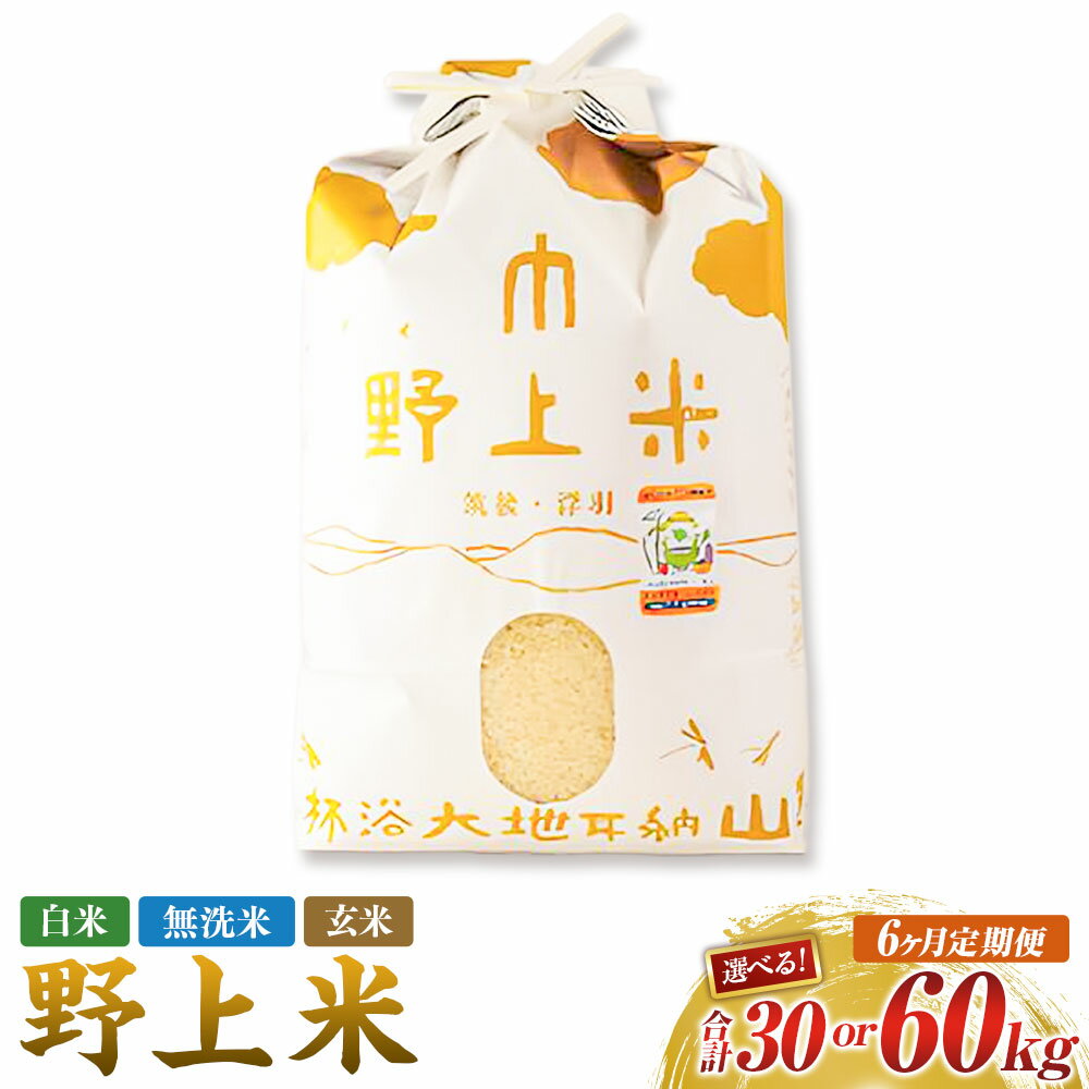 【ふるさと納税】<選べる種類・内容量>【6か月定期便】 野上米 白米 / 無洗米 / 玄米 1回あたり5kg / 10kg 1ヶ月毎 6回 令和7年産 お米 こ...