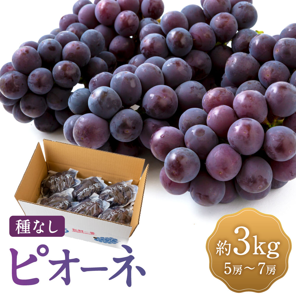 ڤդ뤵Ǽǡۡͽ ԥ 5˼7˼ (3kg) 2025ǯ8ܤ9 вͽ ֤ɤ ֥ɥ ƺ ...