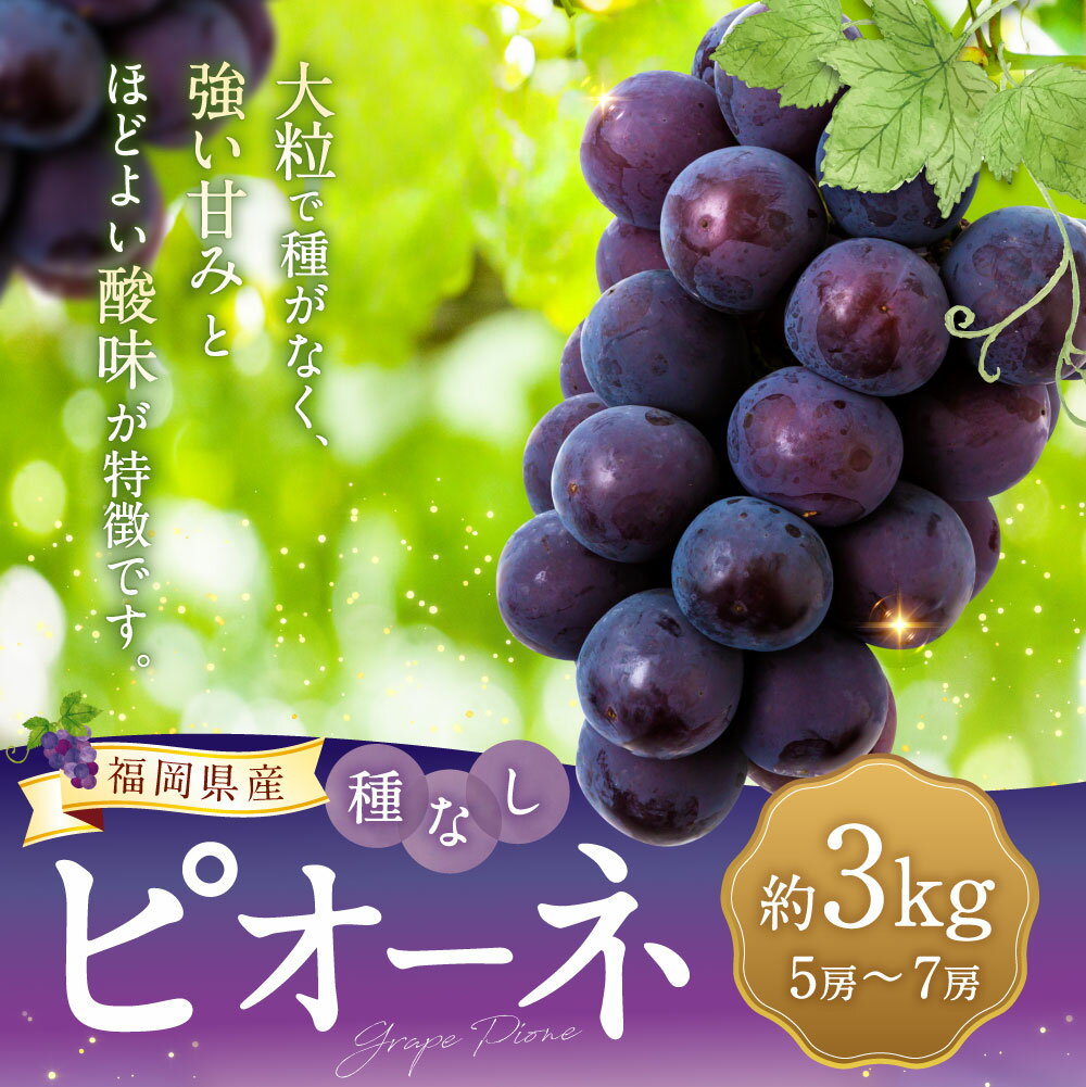 【ふるさと納税】【先行予約】宝玉農園 ピオーネ 5房から7房 5房～7房 （約3kg） 【2026年8月下旬～9月上旬より順次発送予定】 ぶどう ブドウ 葡萄 大粒 種無し 種なし フルーツ 果物 果実 冷蔵 送料無料 福岡県 うきは市