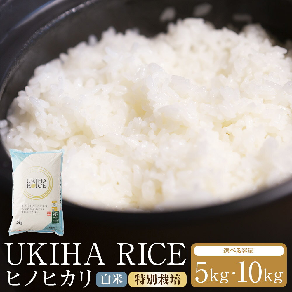 【ふるさと納税】<選べる内容量>UKIHA RICE 白米(特別栽培米) ヒノヒカリ 5kg / 計10kg(5kg×2袋) 令和7年産 お米 こめ 精米 単一...