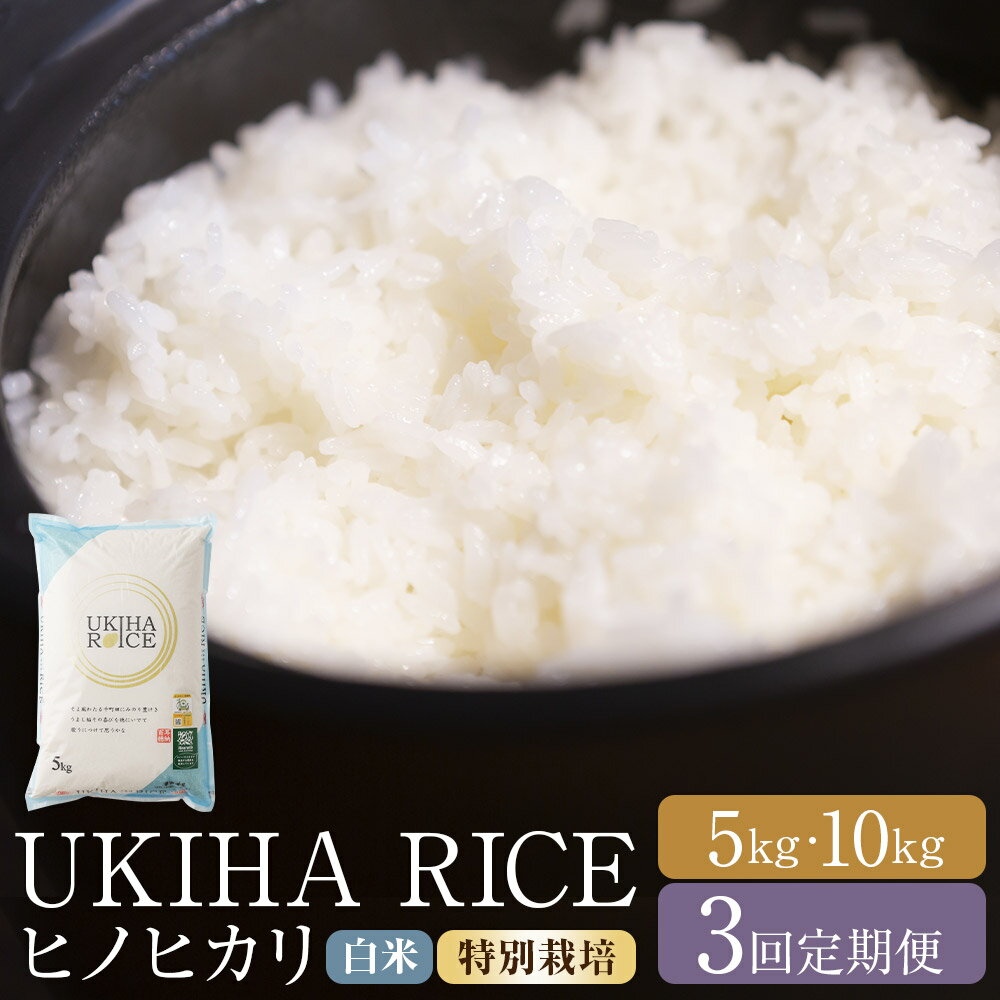 【ふるさと納税】<選べる内容量>【3ヶ月定期便】みずほファーム UKIHA RICE 白米(特別栽培米) ヒノヒカリ 1回あたり5kg / 計10kg(5kg×...