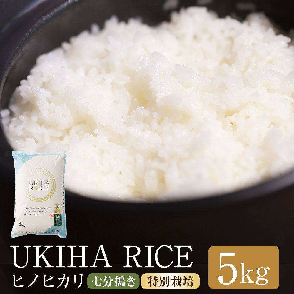 【ふるさと納税】UKIHA RICE 7分搗き(特別栽培米) ヒノヒカリ 5kg お米 こめ 単一原料米 ごはん ご飯 福岡県産 国産 福岡県 うきは市 送料無...
