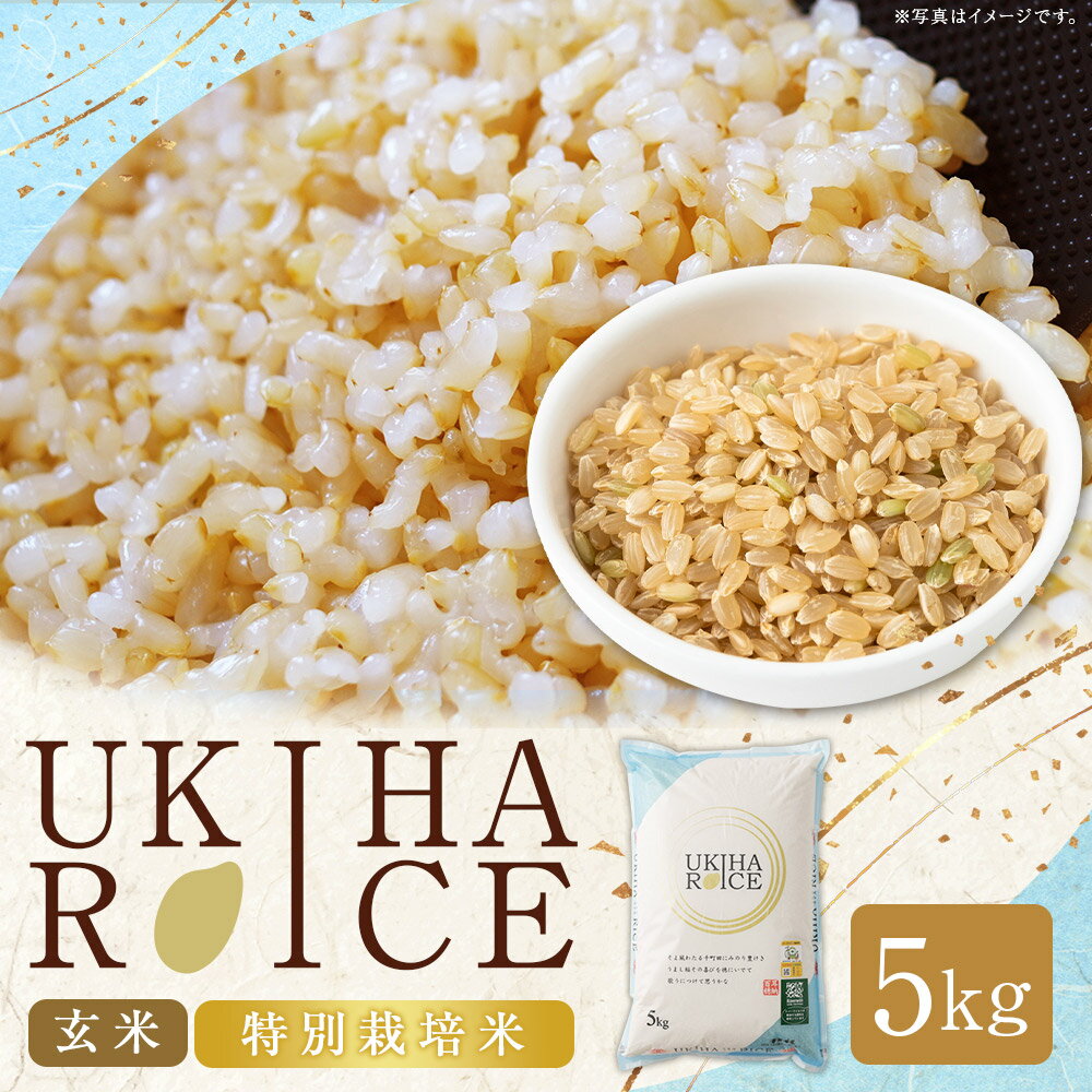 【ふるさと納税】UKIHA RICE 玄米（特別栽培米） ヒノヒカリ 5kg お米 こめ 単一原料米 ごはん ご飯 福岡県産 国産 福岡県 うきは市 送料無料 【2025年11月上旬から2026年3月下旬発送予定】