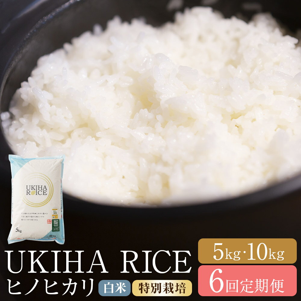 【ふるさと納税】<選べる内容量>【6ヶ月定期便】みずほファーム UKIHA RICE 白米(特別栽培米) ヒノヒカリ 1回あたり5kg / 計10kg(5kg×...