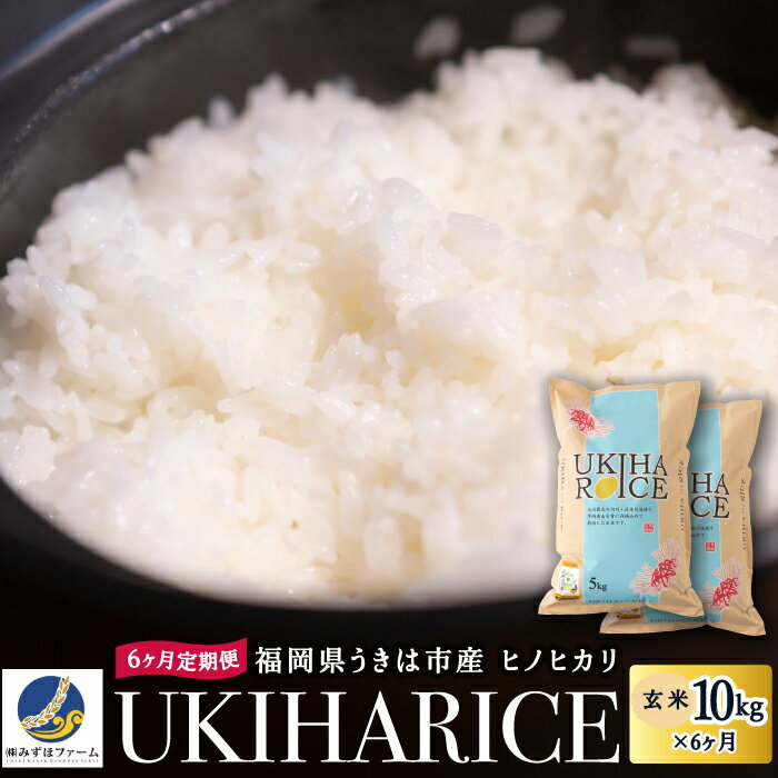 【ふるさと納税】【6ヶ月定期便】みずほファーム UKIHA RICE (玄米10kg×6ヶ月)