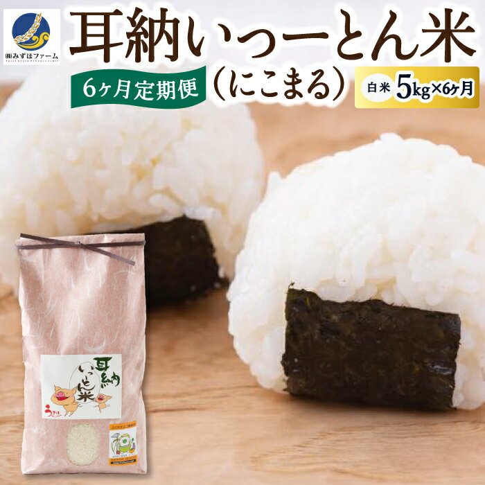 14位! 口コミ数「0件」評価「0」 【6ヶ月定期便】みずほファーム 耳納いっーとん米(にこまる) 白米5kg×6ヶ月