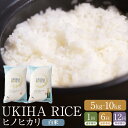 【ふるさと納税】〈選べる容量・定期便〉みずほファーム UKIHA RICE 白米 (5kg・10kg)・【6ヶ月定期便】・【12ヶ月定期便】【2025年11月より順次発送予定】【特別栽培米】こめ 白米 コメ ごはん ご飯 送料無料 福岡県 うきは市
