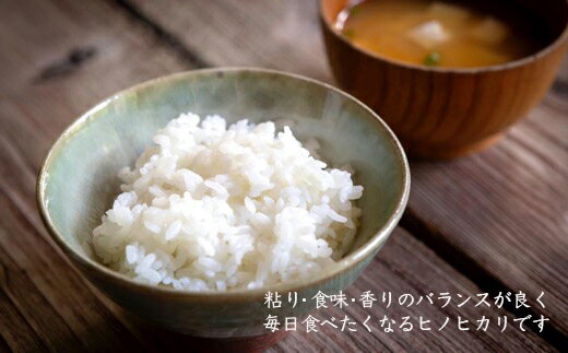 【ふるさと納税】 【定期便】みずほファーム UKIHA RICE 5kg×12ヶ月