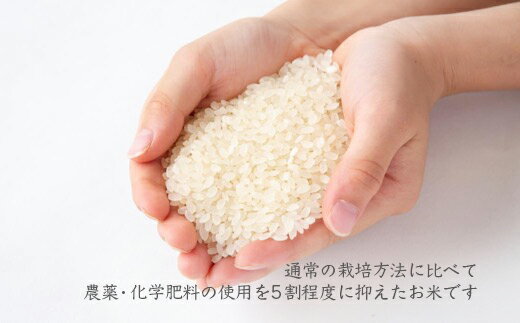 【ふるさと納税】 【定期便】みずほファーム UKIHA RICE 5kg×12ヶ月