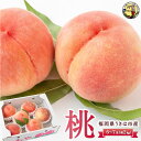 【ふるさと納税】道の駅うきは 桃 6~7玉 (約2kg) 2025年7月中旬から8月上旬 出荷予定 もも モモ 果物 果実 冷蔵 送料無料 福岡県 うきは市