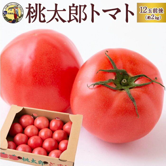 【ふるさと納税】 道の駅うきは 桃太郎トマト 12玉前後 (約2kg) 11月1日〜2024年5月下旬お届けのサムネイル