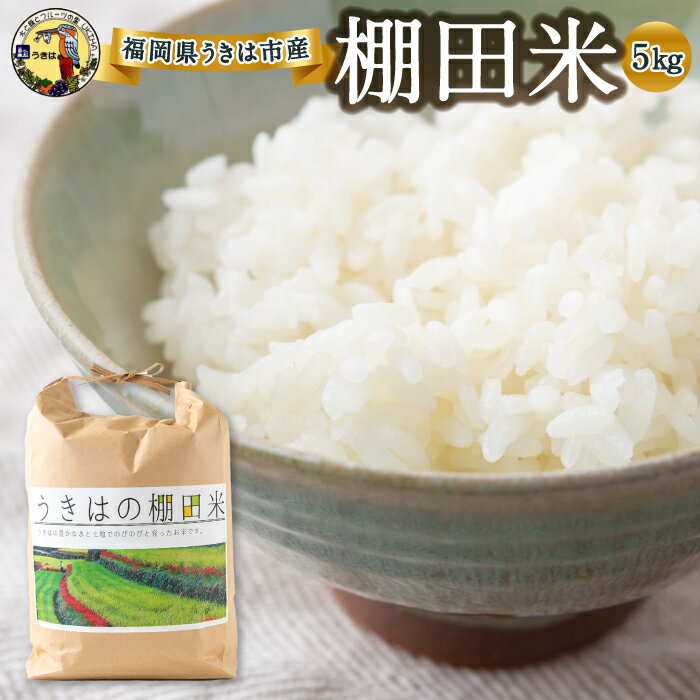 11位! 口コミ数「0件」評価「0」 道の駅うきは 棚田米5kg 2023年10月中旬～2024年5月お届け