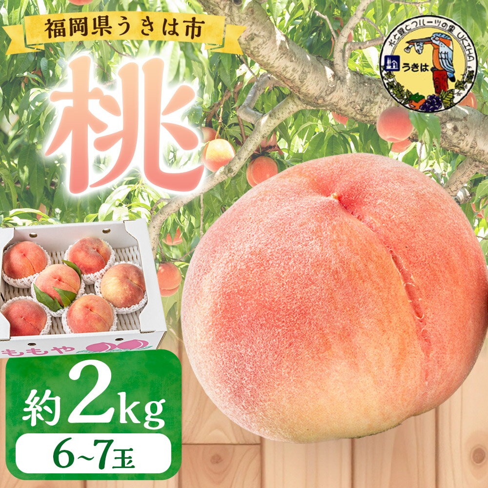 【ふるさと納税】道の駅うきは 桃 6～7玉 (約2kg) 【2026年7月下旬から8月上旬 出荷予定】 もも モモ 果物 果実 冷蔵 送料無料 福岡県 うきは市