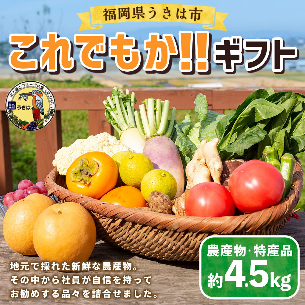【ふるさと納税】 道の駅うきは これでもか!!ギフト (新鮮な農産物・特産品 約4.5kg) おまかせ 農産物 野菜 やさい 果物 フルーツ フード 送料無料 福岡県 うきは市