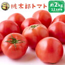 【ふるさと納税】 道の駅うきは 桃太郎トマト 12玉前後 (約2kg) 【2025年11月上旬から2026年5月上旬 出荷予定】 トマト とまと ももたろうトマト 大玉トマト 野菜 ベジタブル 新鮮 フレッシュ お取り寄せ 福岡県 うきは市